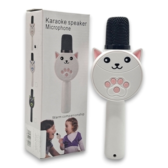 karaoke speaker mocrophone